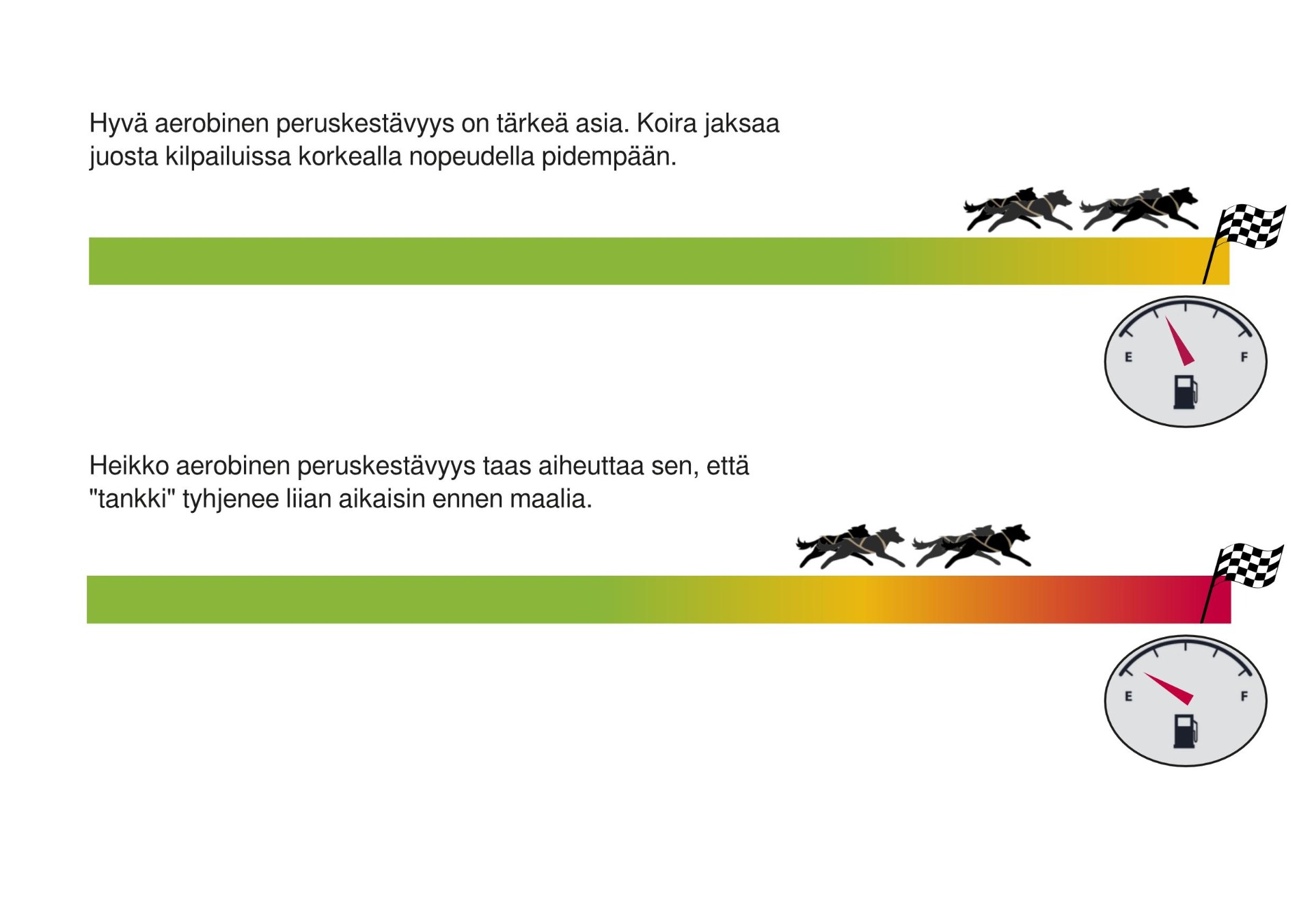 Peruskest vyysharjoittelu LSD Lansi suomen valjakkourheilijat Peruskest vyysharjoittelu LSD Lansi suomen valjakkourheilijat